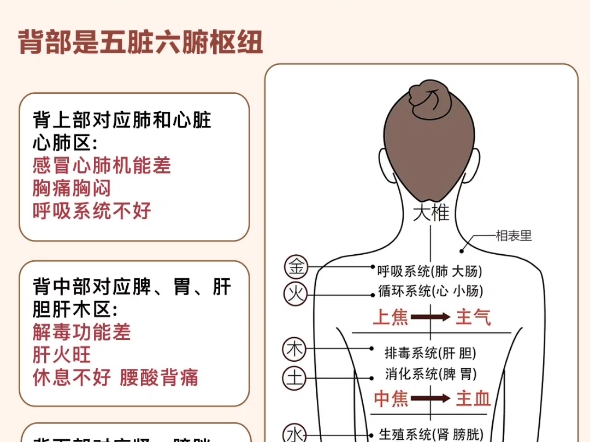 气血哔哩哔哩bilibili