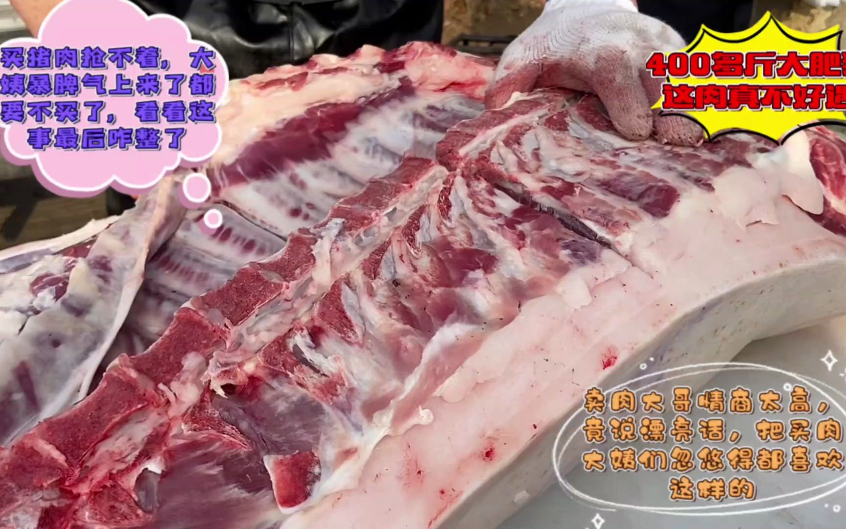 今天435斤大肥猪真肥,肥膘子二十公分厚,暴脾气大姨买好几十斤