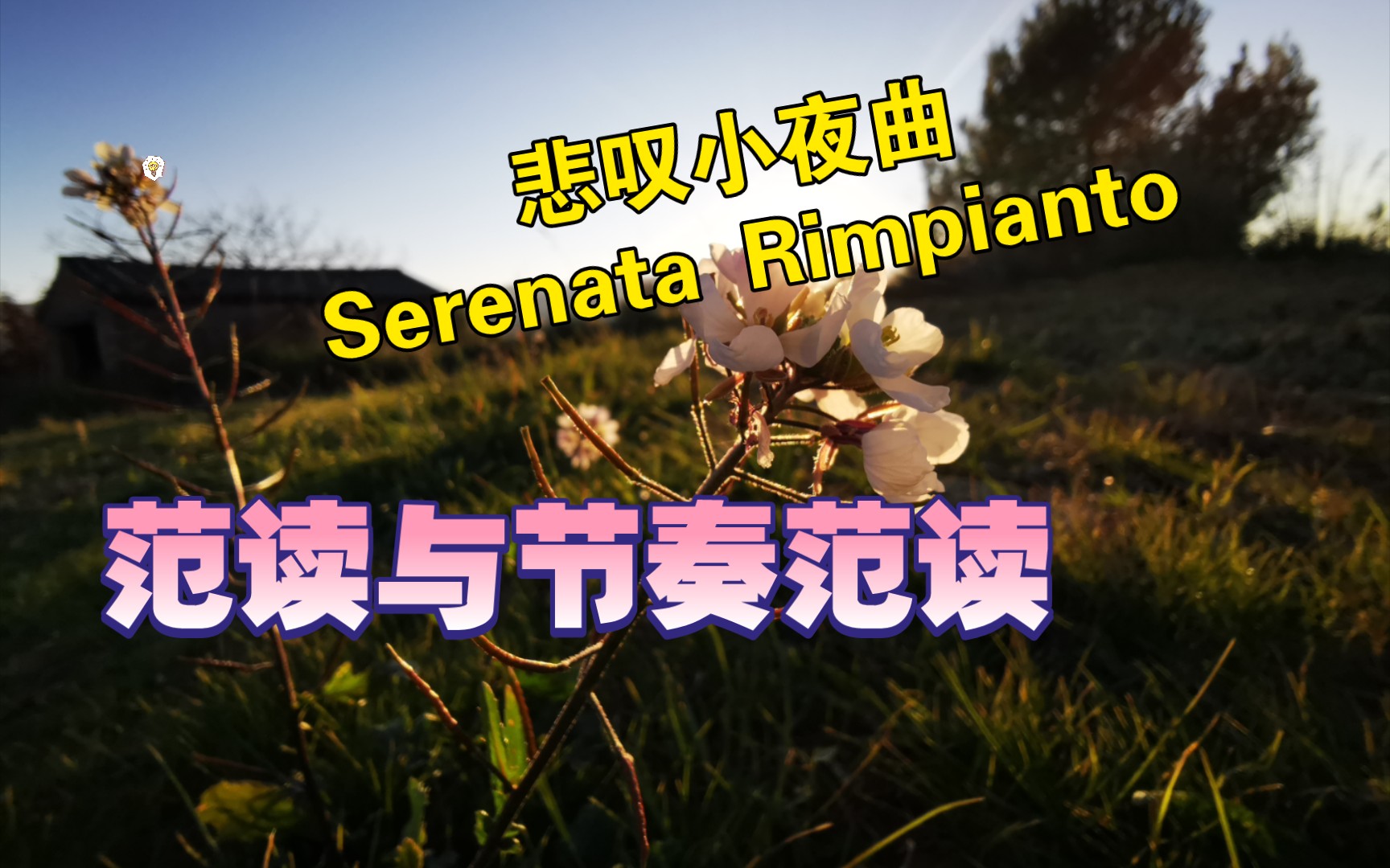 [图]悲叹小夜曲 Serenata Rimpianto范读与节奏范读