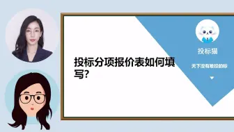 招投标实操之投标分项报价表如何填写