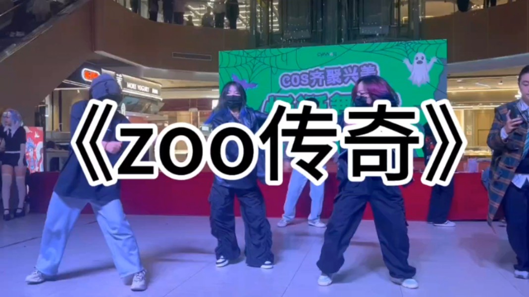 起初人们以为这只是随舞中普通的一段zoo——【zoo传奇】哔哩哔哩bilibili