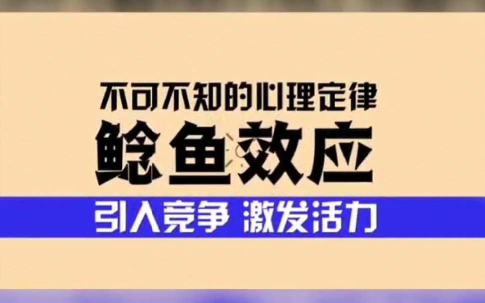 不可不知的心理定律——鲶鱼效应:引入竞争 激发活力哔哩哔哩bilibili