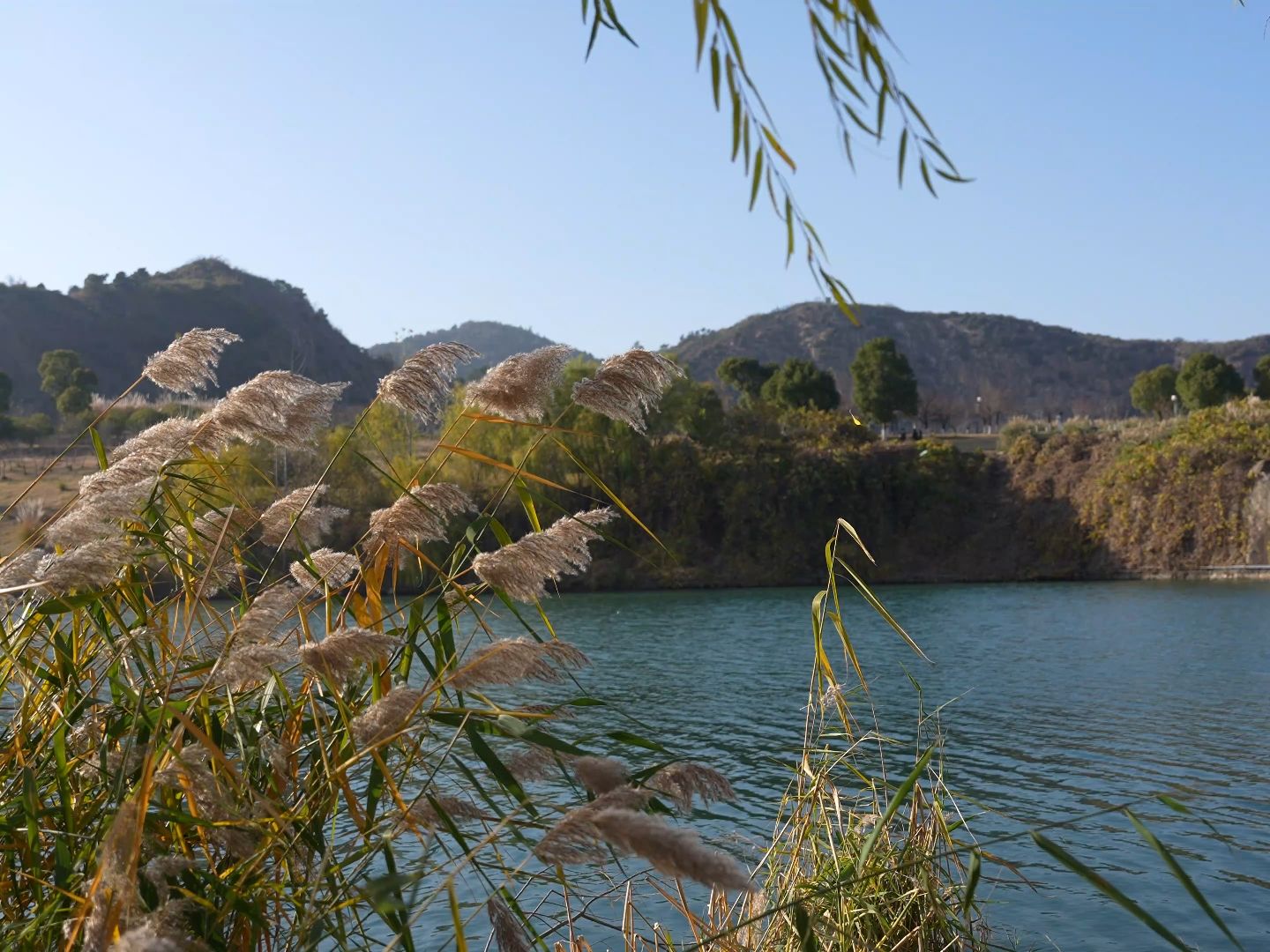 苏州寿桃湖冬景