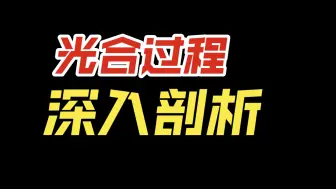 下载视频: 看完，彻底理解光合本质。