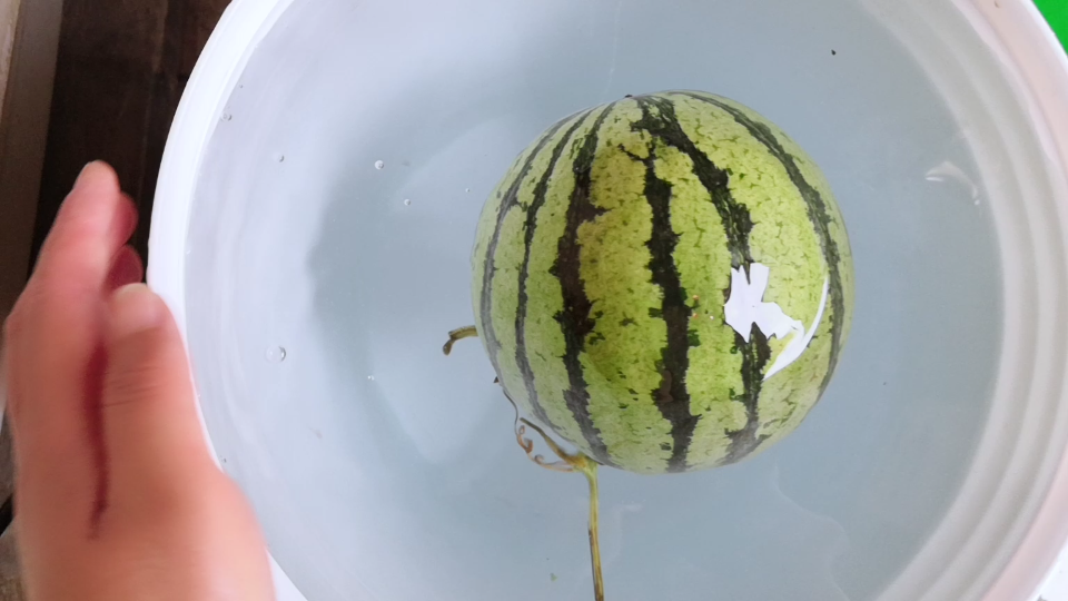 夏天还是要泡在水里的西瓜最好了!可以现在都没井了!