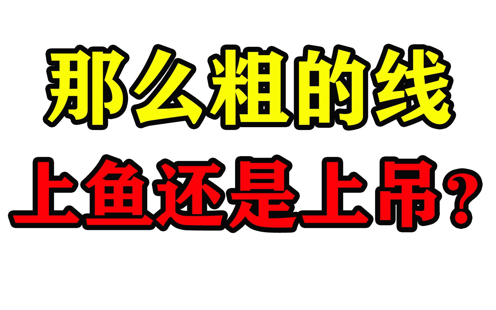 纺车轮的PE线的线号怎么选?0.8容易断?2号很结实?哔哩哔哩bilibili