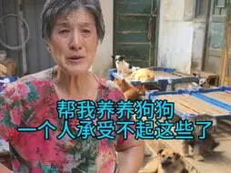 Tải video: 帮我养养狗狗，一个人承受不起了