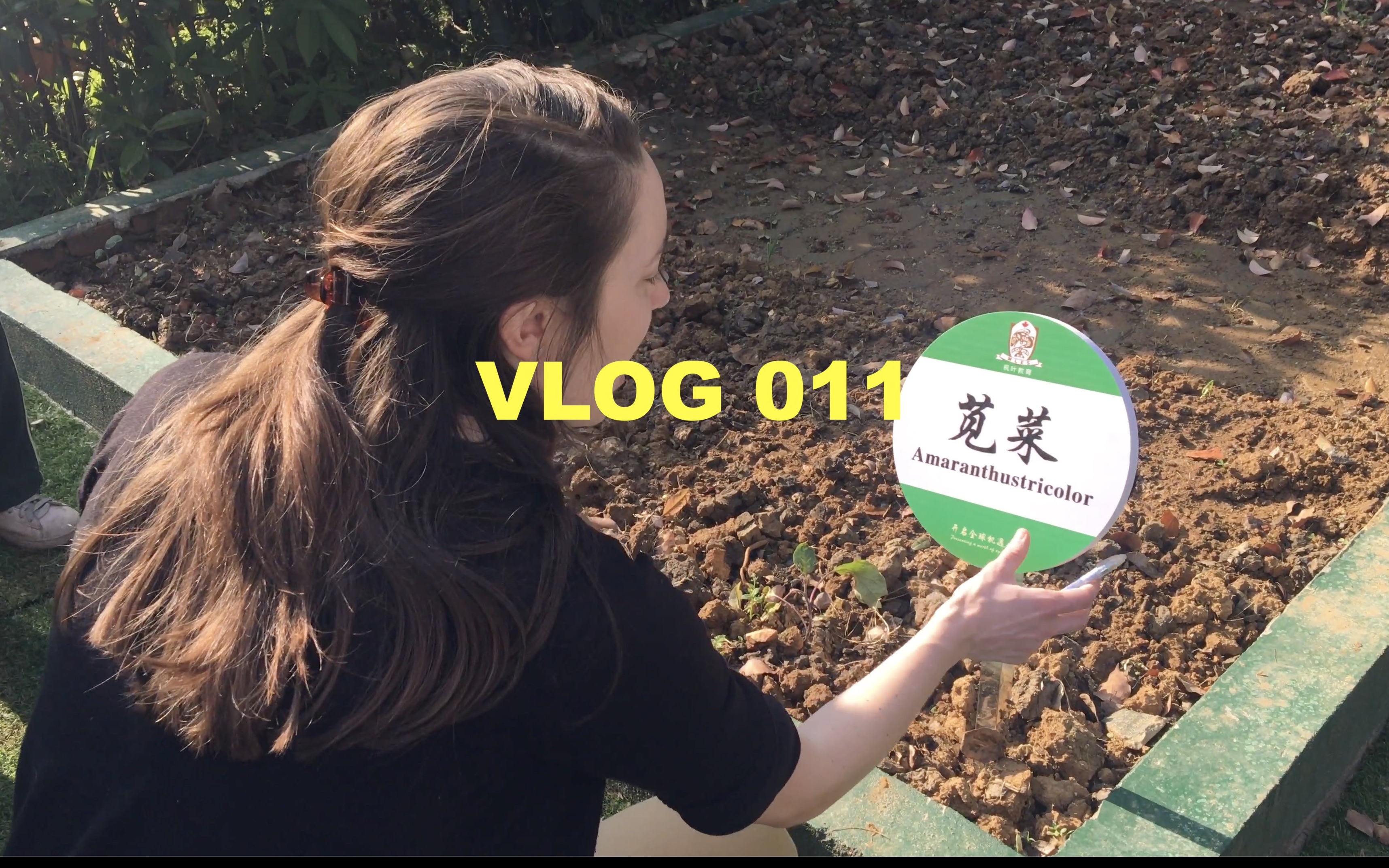 Vlog 011 国际学校的学生每天都在学校做些什么?哔哩哔哩bilibili