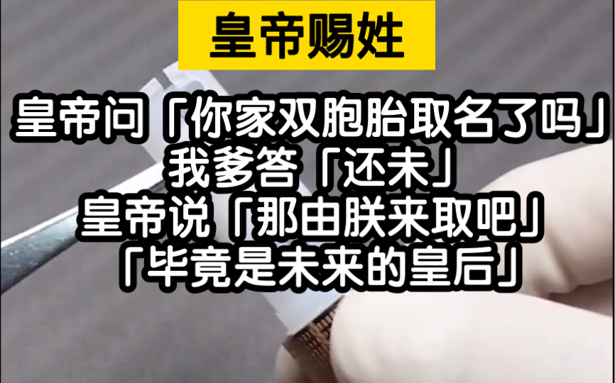 【小说推荐】宫廷小说没有深宫中的勾心斗角,尔虞我诈哔哩哔哩bilibili