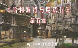 Tải video: 【精读系列】《哈利波特》 第一部 | 第五章 Diagon Alley 8