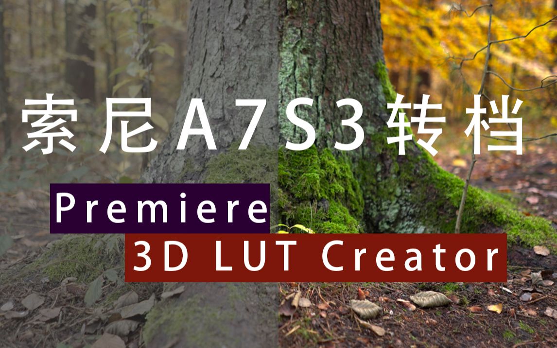 索尼A7S3,LOG格式转档调色 【3D LUT Creator 教程】哔哩哔哩bilibili