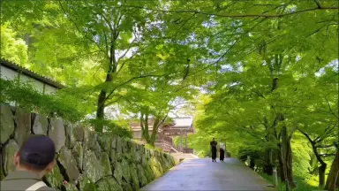 寺西徹-哔哩哔哩_Bilibili