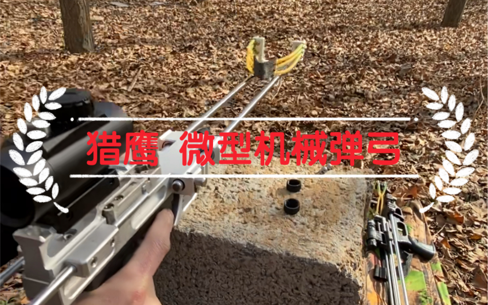 高精准微型轴承滑动弹弓