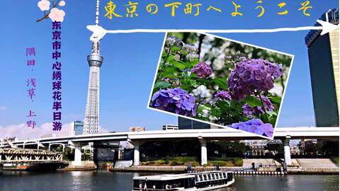 旅游东京市中心寻找绣球花半日游 隅田 浅草 上野 Ft 隅田公园浅草寺风雷神门上野恩赐公园アメ横by手工制作東京の下町紫阳花 Vlog 哔哩哔哩 Bilibili