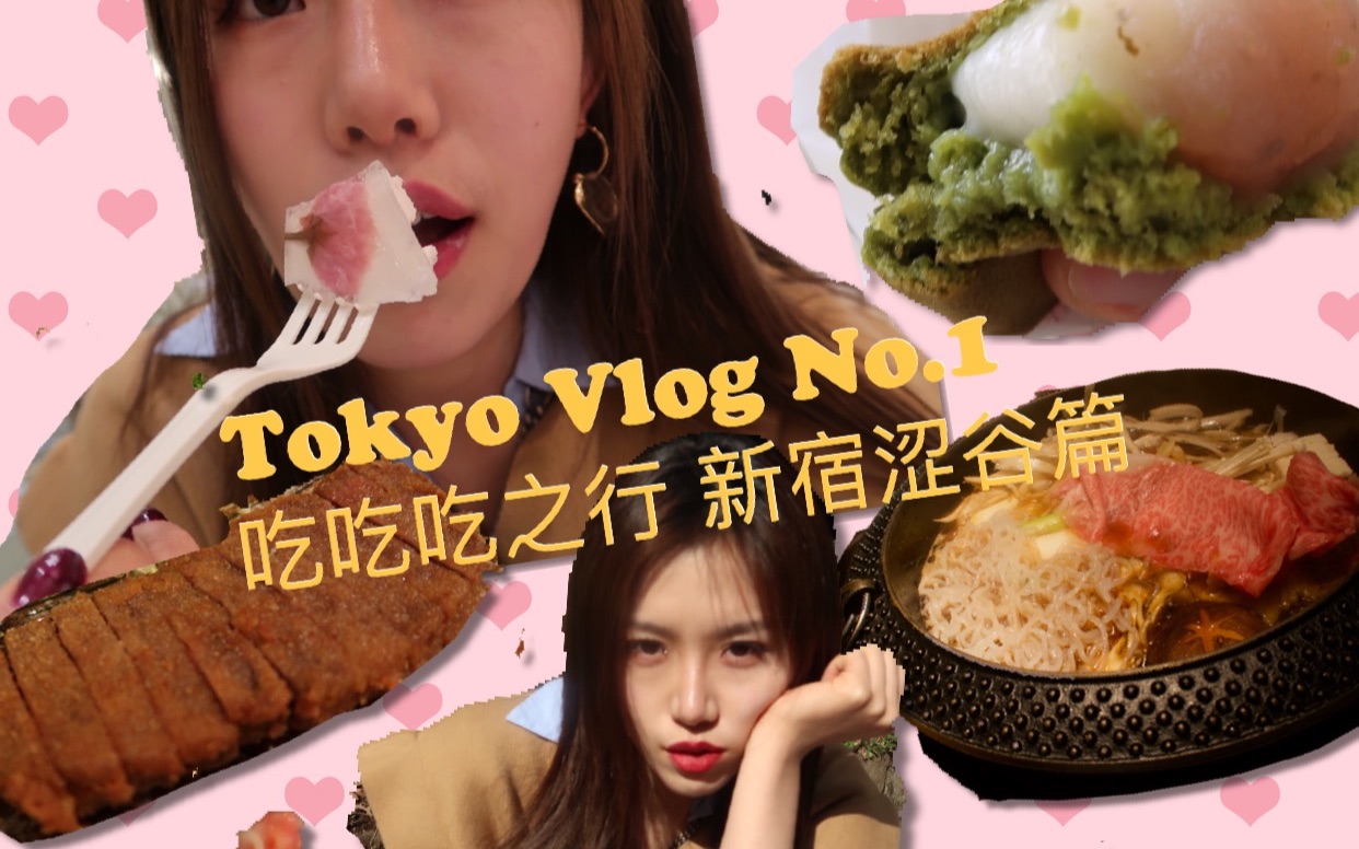 【来颗西瓜Lexi】小王 in Tokyo Vlog No.1 吃吃吃吃之行 新宿涩谷篇/牛肉排/豆乳抹茶车轮饼/HARBS 蛋糕/酥皮塔/木曾路寿喜烧哔哩哔哩bilibili