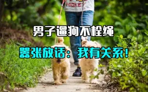 Télécharger la video: 男子遛狗不拴绳，被劝阻还理直气壮：我公安局有朋友！