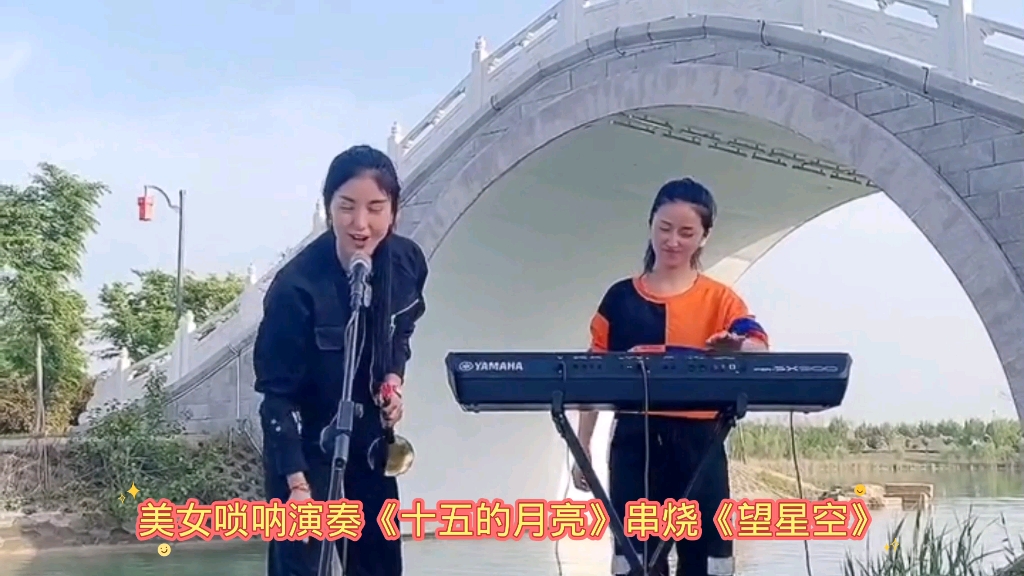 [图]美女演奏《十五的月亮》串烧《望星空》