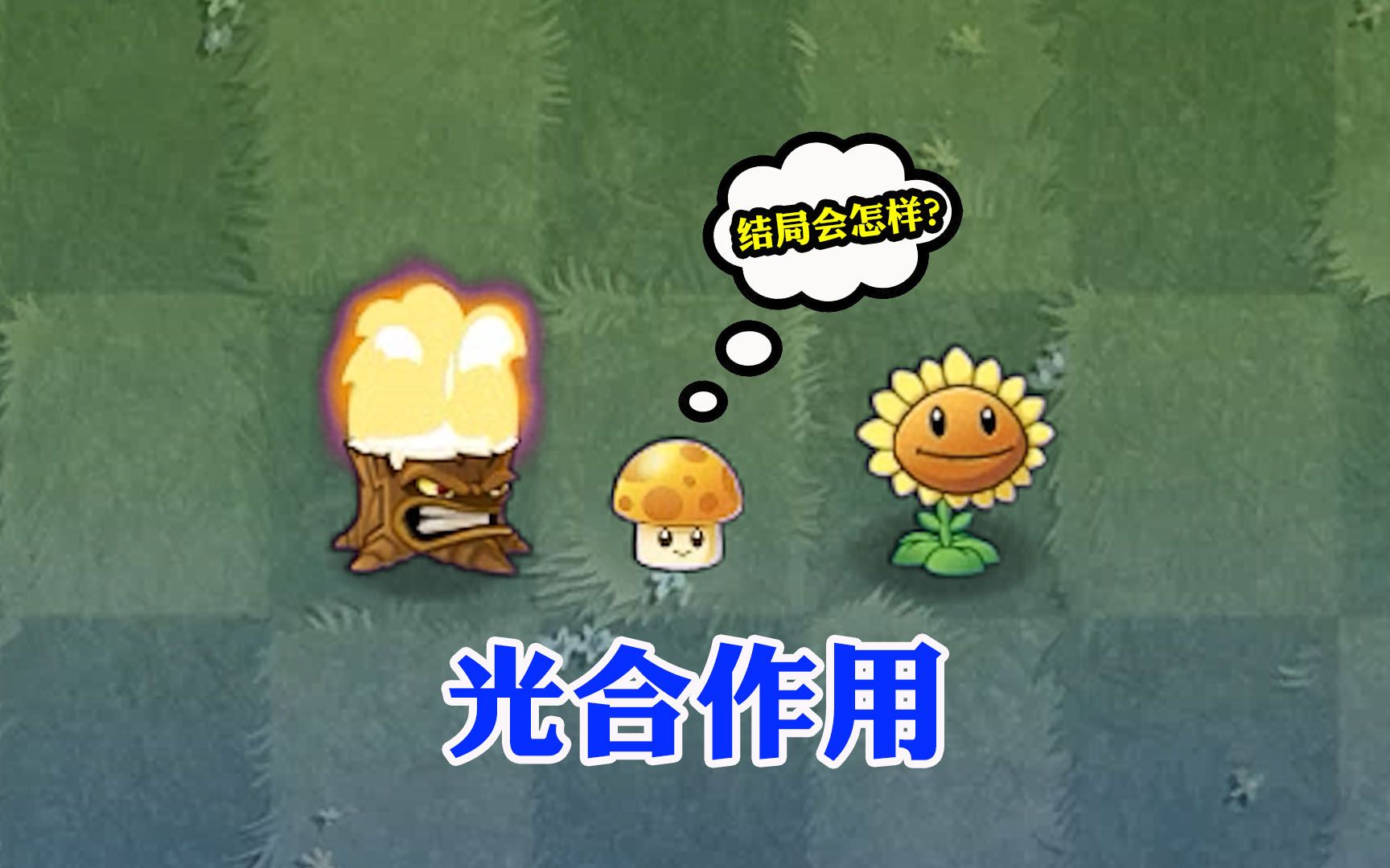 植物大战僵尸:当阳光菇进行光合作用,会发生什么?