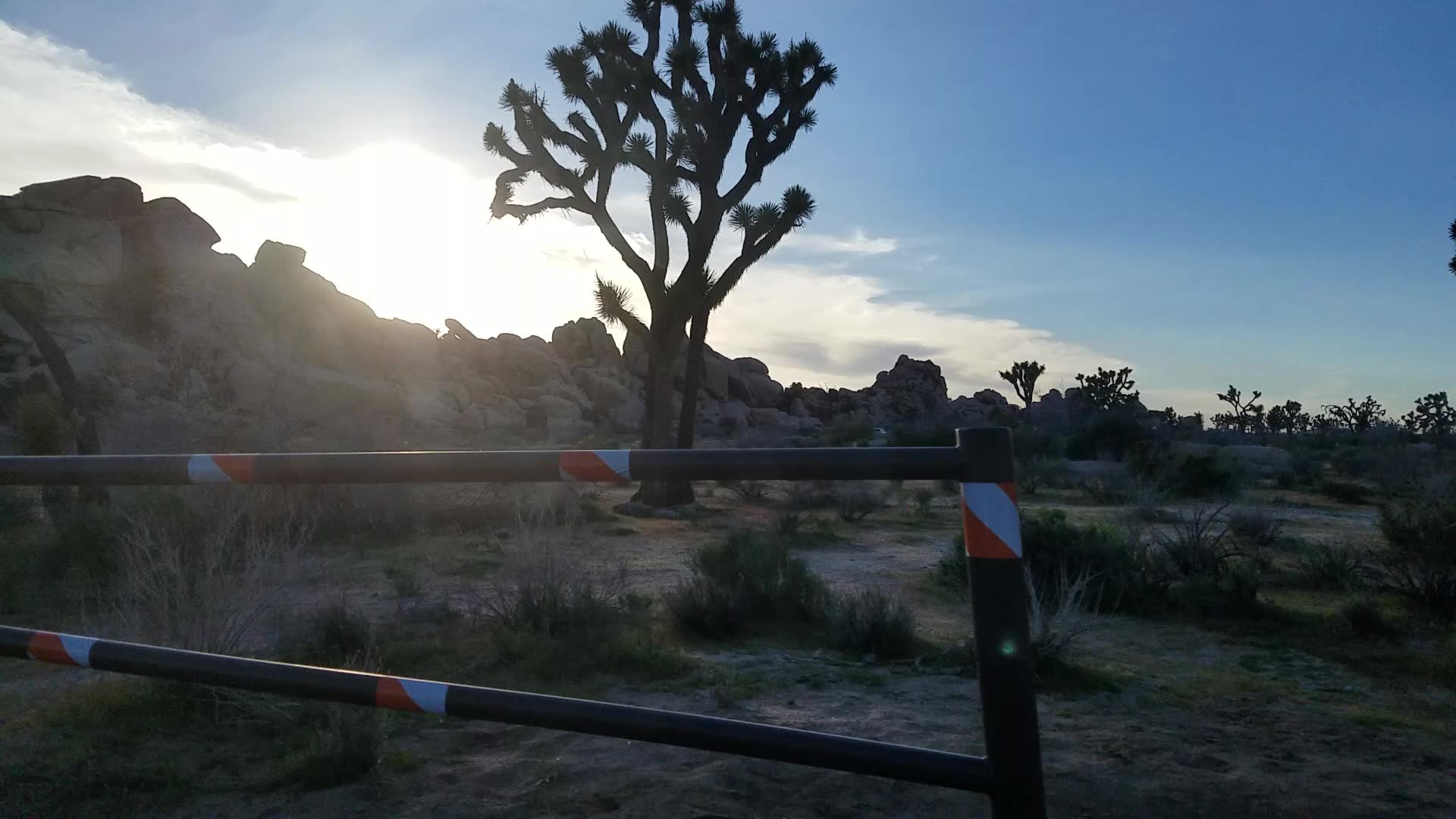 [图]约书亚树国家公园（Joshua Tree National Park）日落