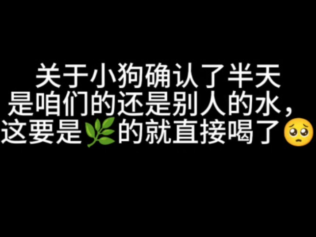 【双高】11.20直播喝水事件(关于咱们和别人)哔哩哔哩bilibili