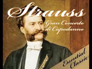 斯特劳斯 新年音乐会Strauss  New Year's Concert Classical Music哔哩哔哩bilibili