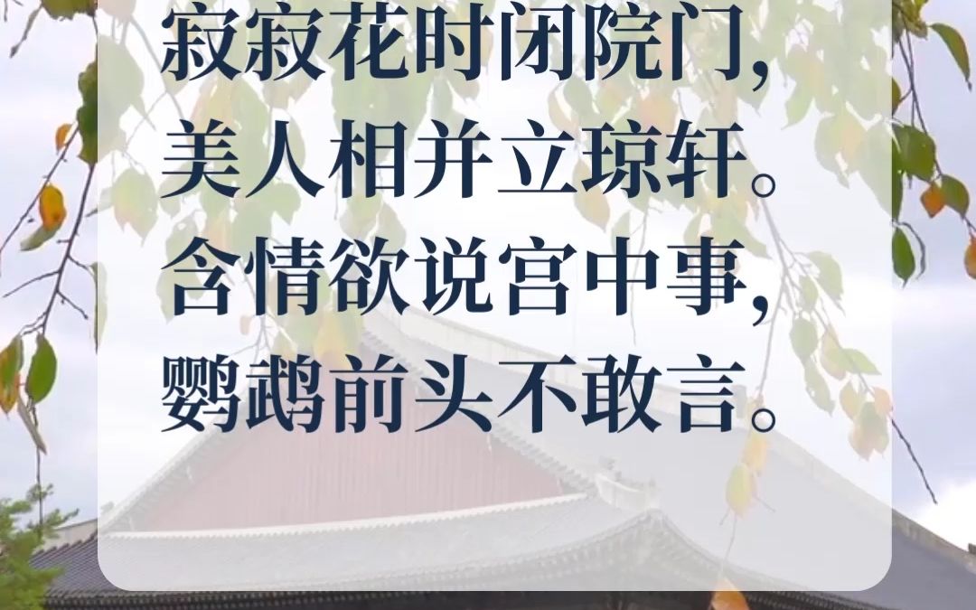 《宫词》唐诗三百首哔哩哔哩bilibili