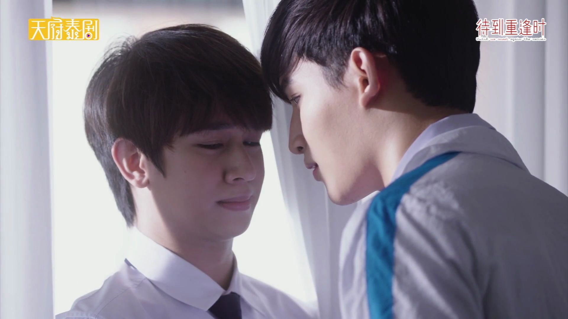 表白名场面之福多多篇