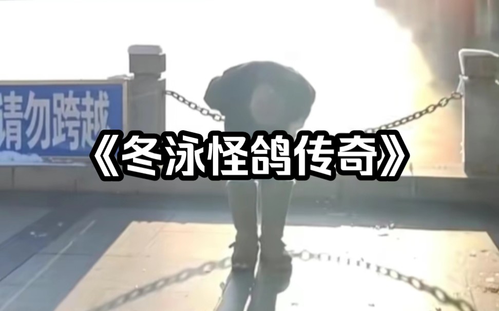 巨人的鞠躬是为了让阳光洒在每一个普通人身上,大型纪录片《冬泳怪鸽