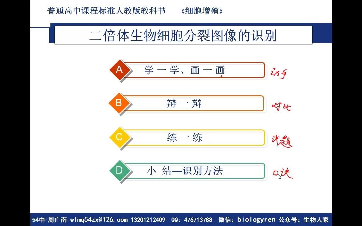 二倍体生物细胞分裂图像的识别哔哩哔哩bilibili