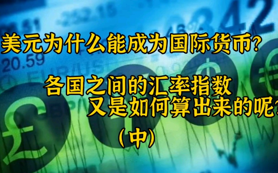 美元为什么能成为国际货币?各国之间的汇率指数是如何算出来的?哔哩哔哩bilibili