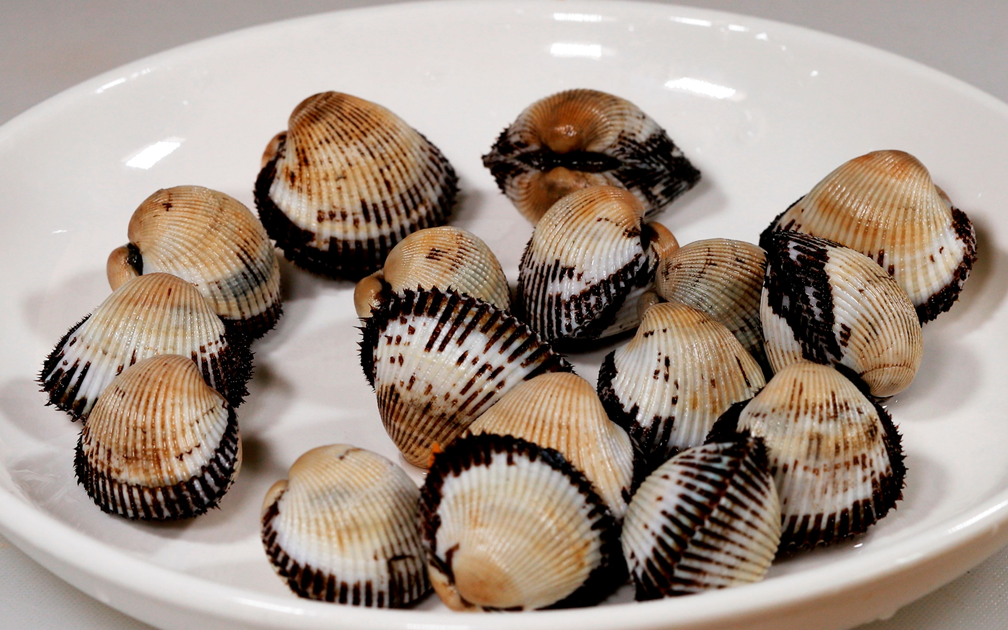 毛蛤鲜嫩多汁用热油浇一下会更香,家常海鲜葱油毛蛤做法鲜香美味_哔哩