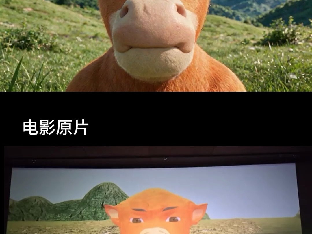 假如牛来经费充足
