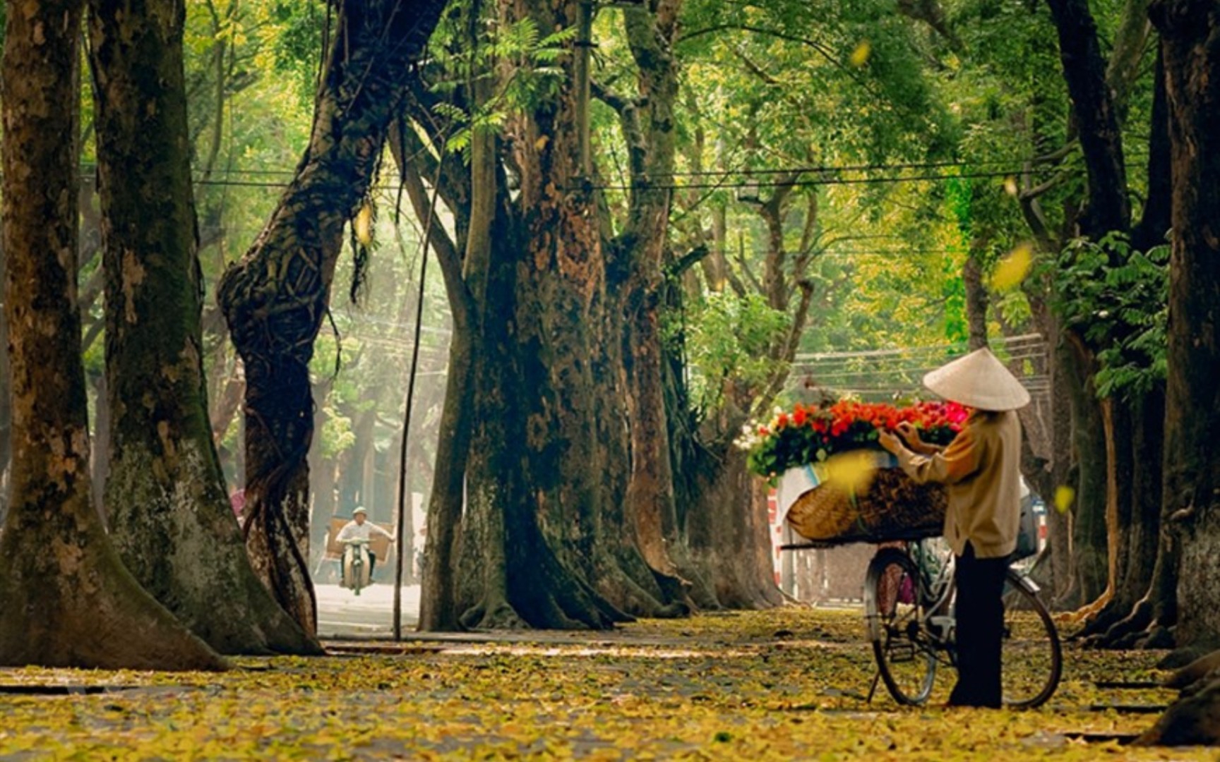 [图][中越双语字幕]Những gánh hàng chở cả mùa thu