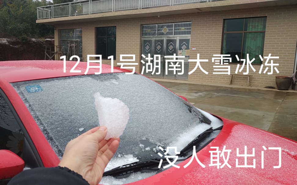 12月1号湖南常德气温剧降到1℃,大雪冰冻无人敢出门,画面太心酸了哔哩哔哩bilibili