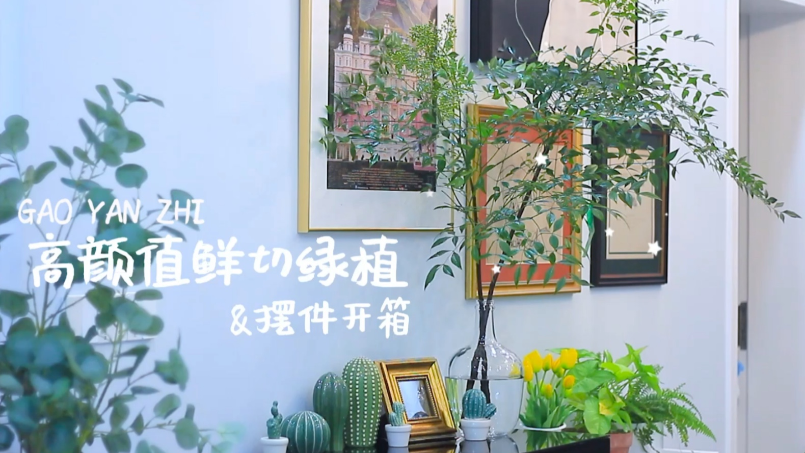 高颜值鲜切绿植摆件开箱 | 治愈系家居好物哔哩哔哩bilibili