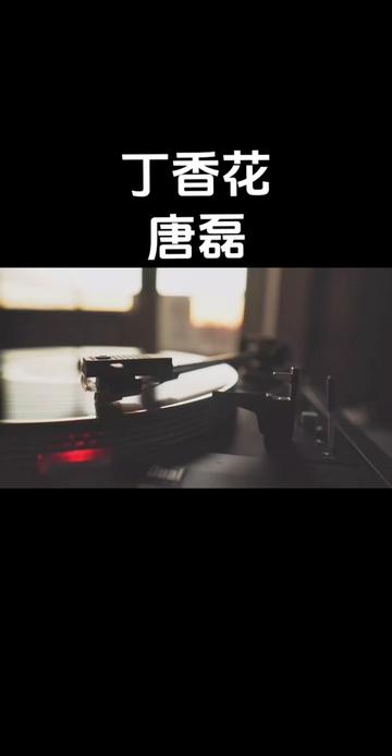 《丁香花》是唐磊作词、编曲并演唱的一首歌曲.完成于2000年4月份,2002年上传到网络,2004年收录于唐磊本人的专辑《丁香花》中.哔哩哔哩bilibili