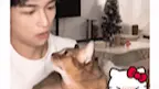 Download Video: 【黄子弘凡】猫狗对视