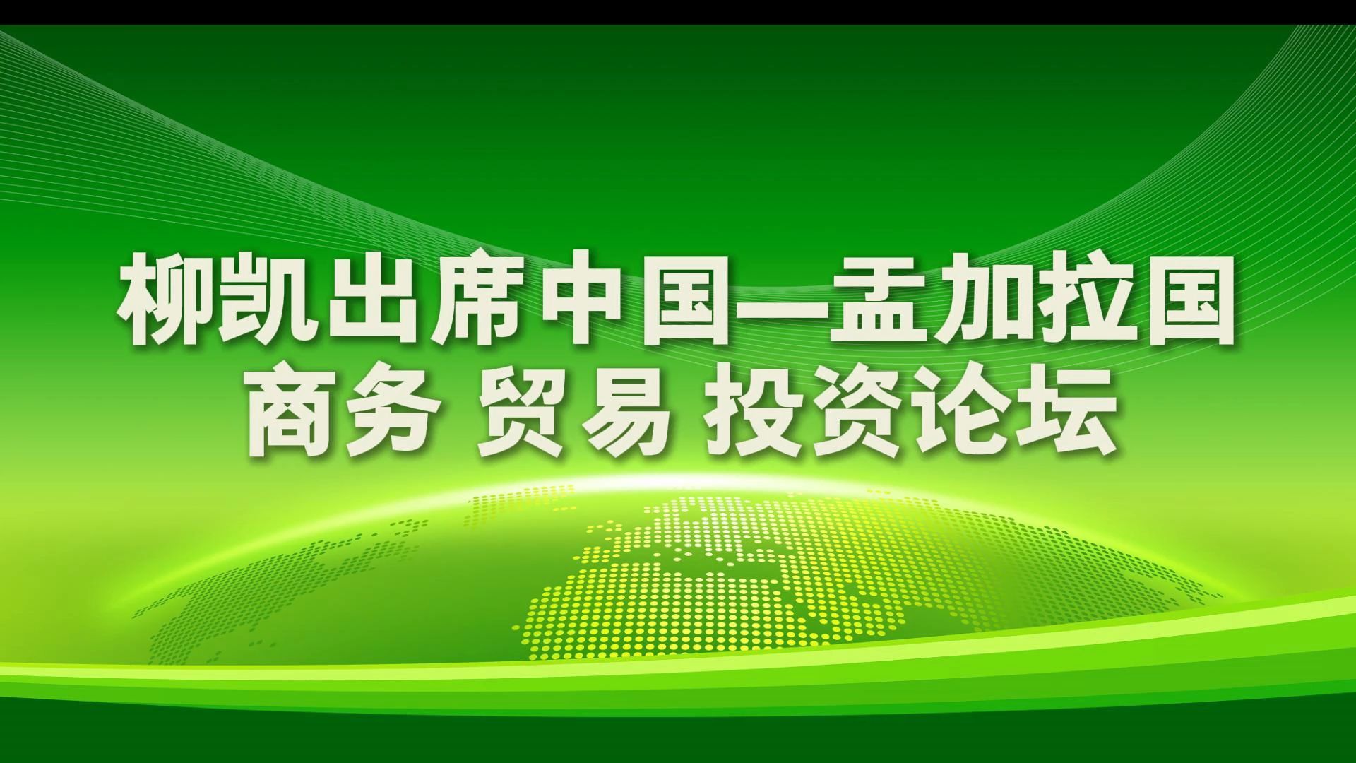 柳凯出席中国—孟加拉国商务 贸易 投资论坛