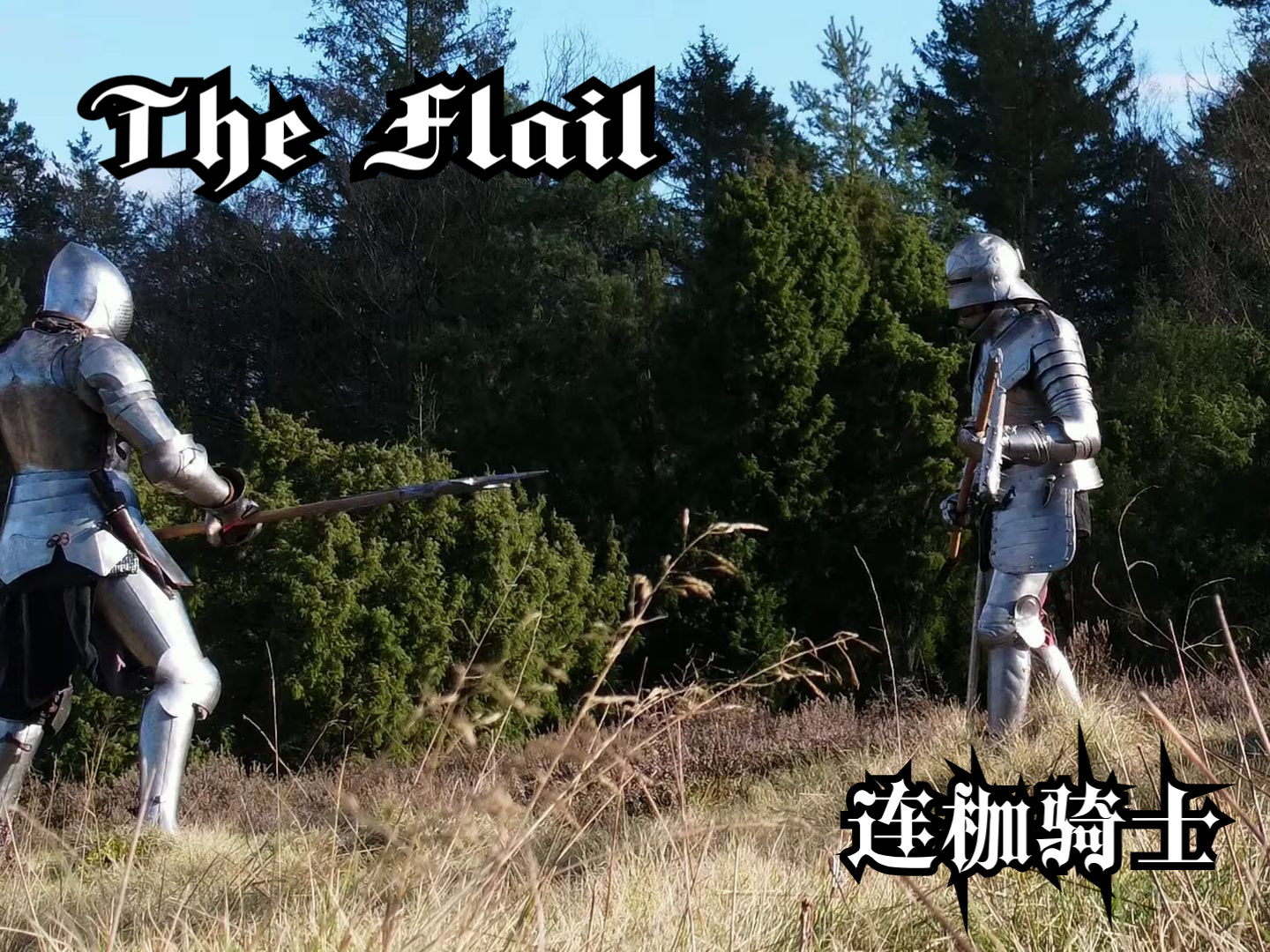 连枷骑士 The Flail  real knight fight with a twohanded spiked flail哔哩哔哩bilibili