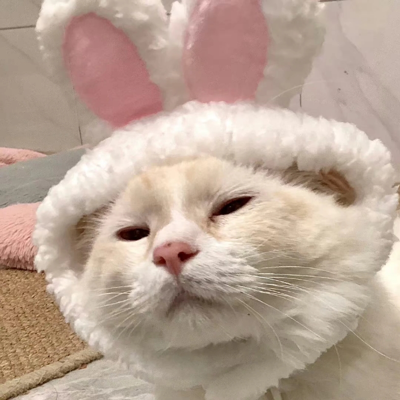 猫猫愁眉苦脸