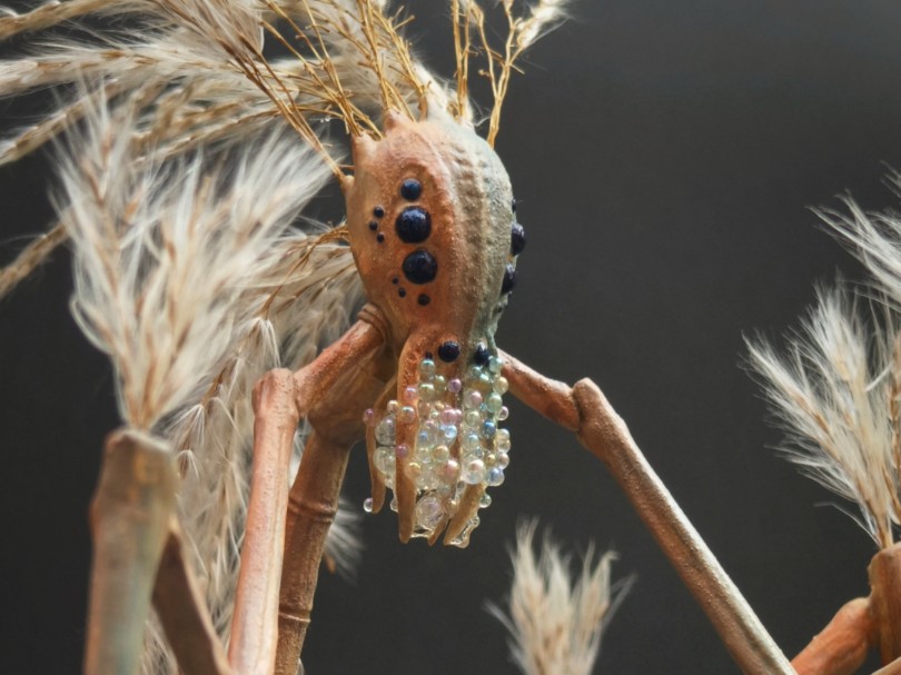 伊苏林迪竹节虫 "好吧,金,照张相 .