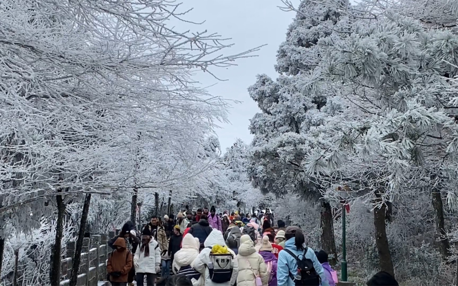 東北去不起-南嶽衡山更有性價比/爬山/看霧凇/冷串風啦