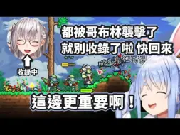 Download Video: 在Terraria單身一人抵抗哥布林軍團襲擊的Pekora 團長加入遊戲秒變英雄&團長蠢萌片段【兎田ぺこら_兔田佩克拉_白銀ノエル_白銀諾艾爾】【Hololiv