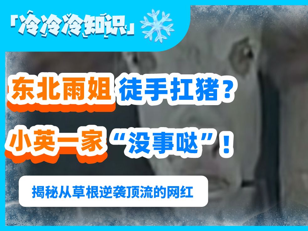 从草根到百万网红的翻身之路,盘点那些通过互联网逆袭顶流的网红们哔哩哔哩bilibili