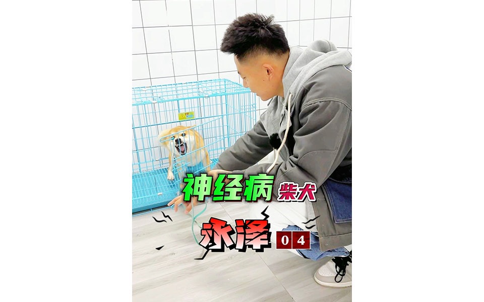 永泽的矛盾心理哔哩哔哩bilibili