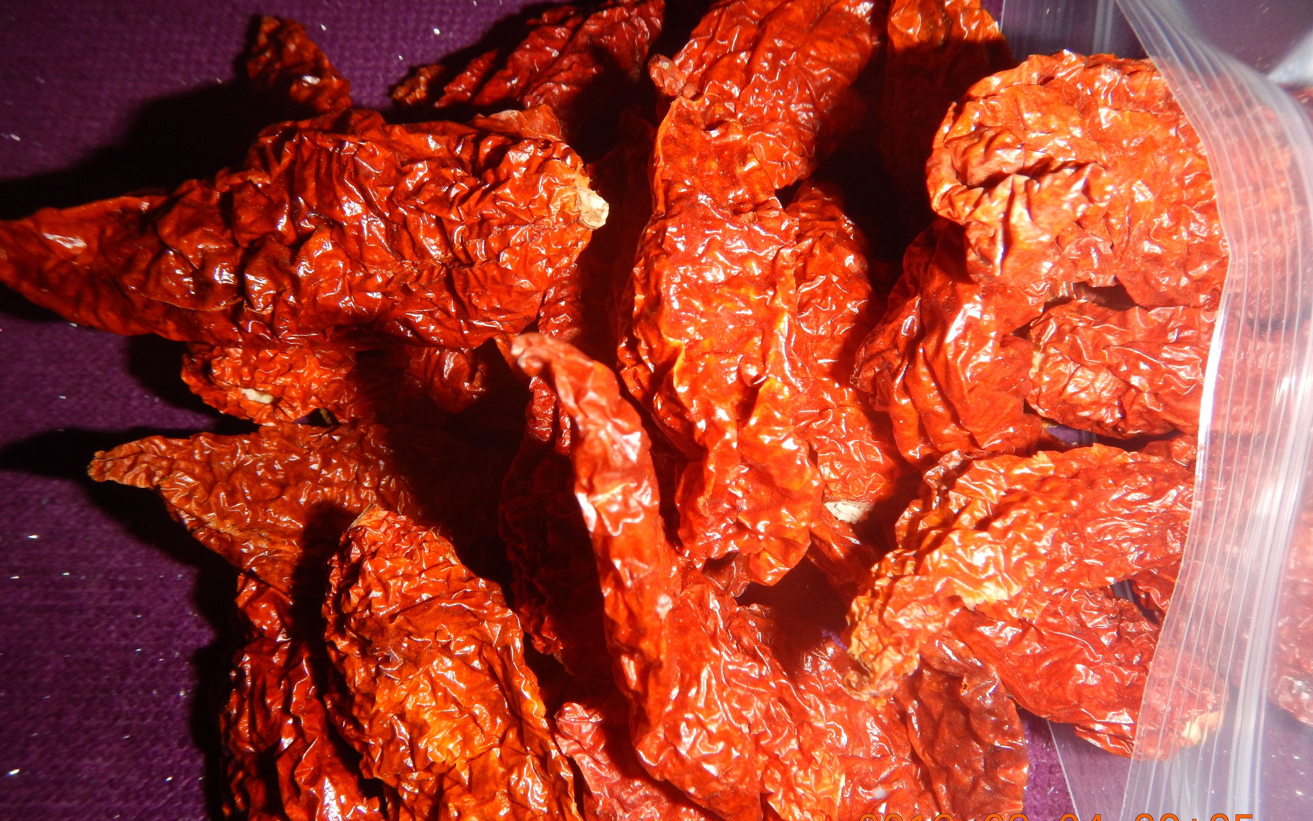 作死体验魔鬼椒