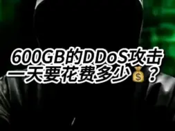 Download Video: 600GB的DDos攻击一天需要花费多少钱？