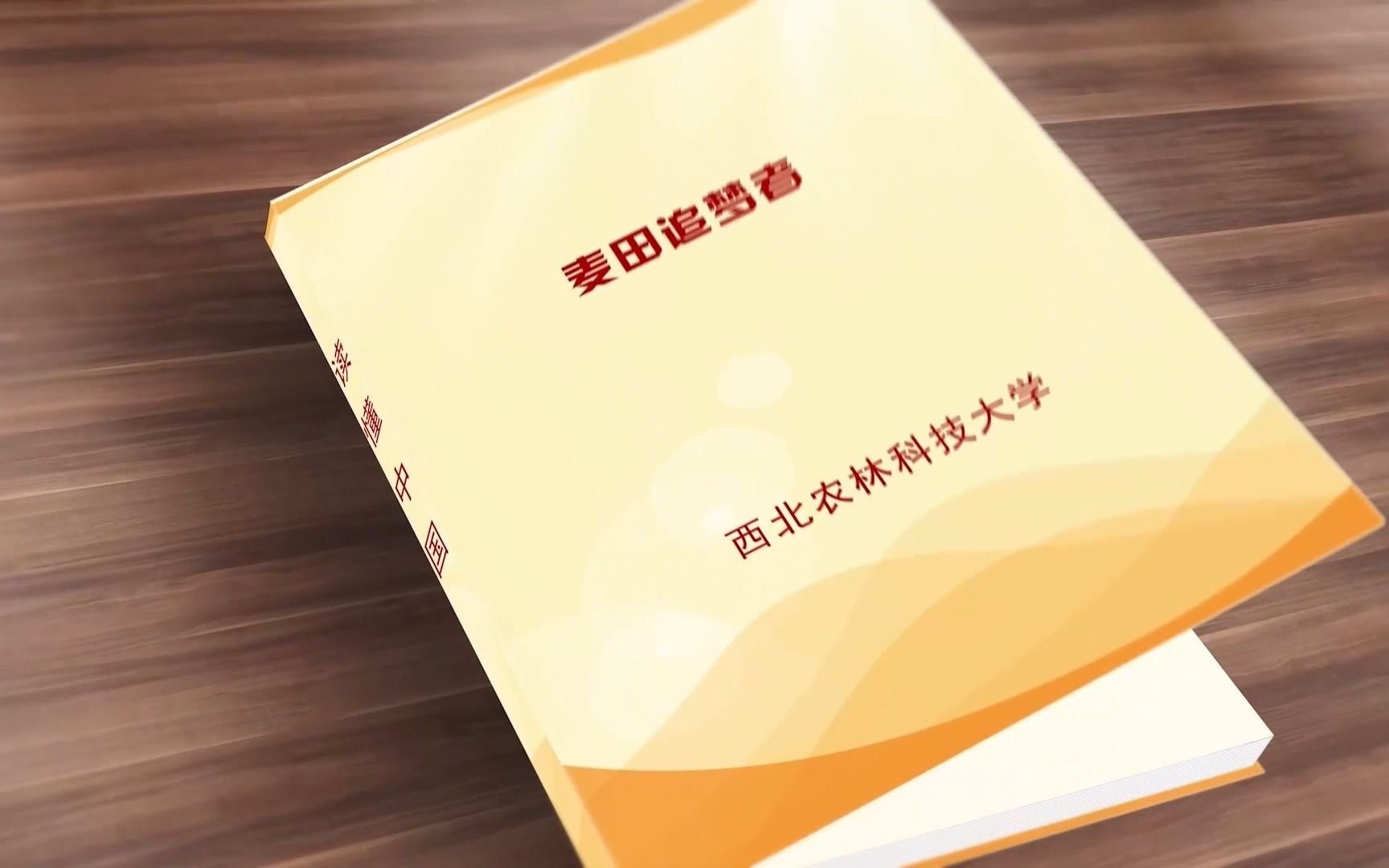 【2022读懂中国】麦田追梦者——西北农林科技大学 王辉哔哩哔哩bilibili