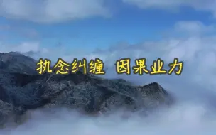 Video herunterladen: 执念纠缠 因果业力