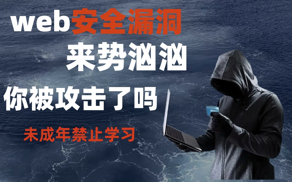 web漏洞来势汹汹你被攻击了吗!学完它!你再也不用担心了!B站最实用的网络安全教程!哔哩哔哩bilibili